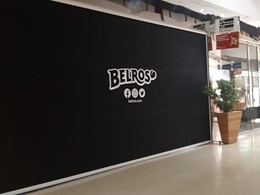 BLEROS 1